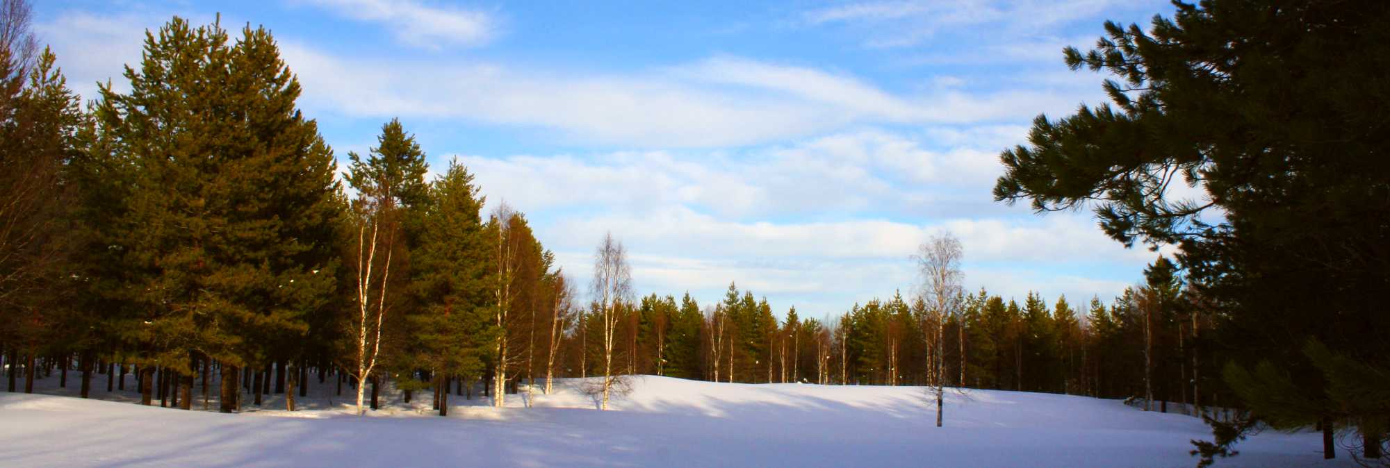 Vinter6